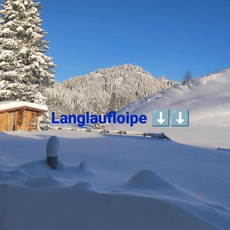 Haus Jessica Incl National Park Sommercard Mittersill Dış mekan fotoğraf
