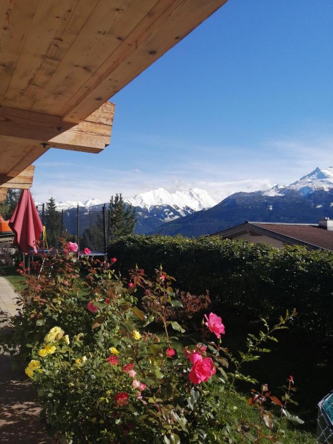 Haus Jessica Incl National Park Sommercard Mittersill Dış mekan fotoğraf