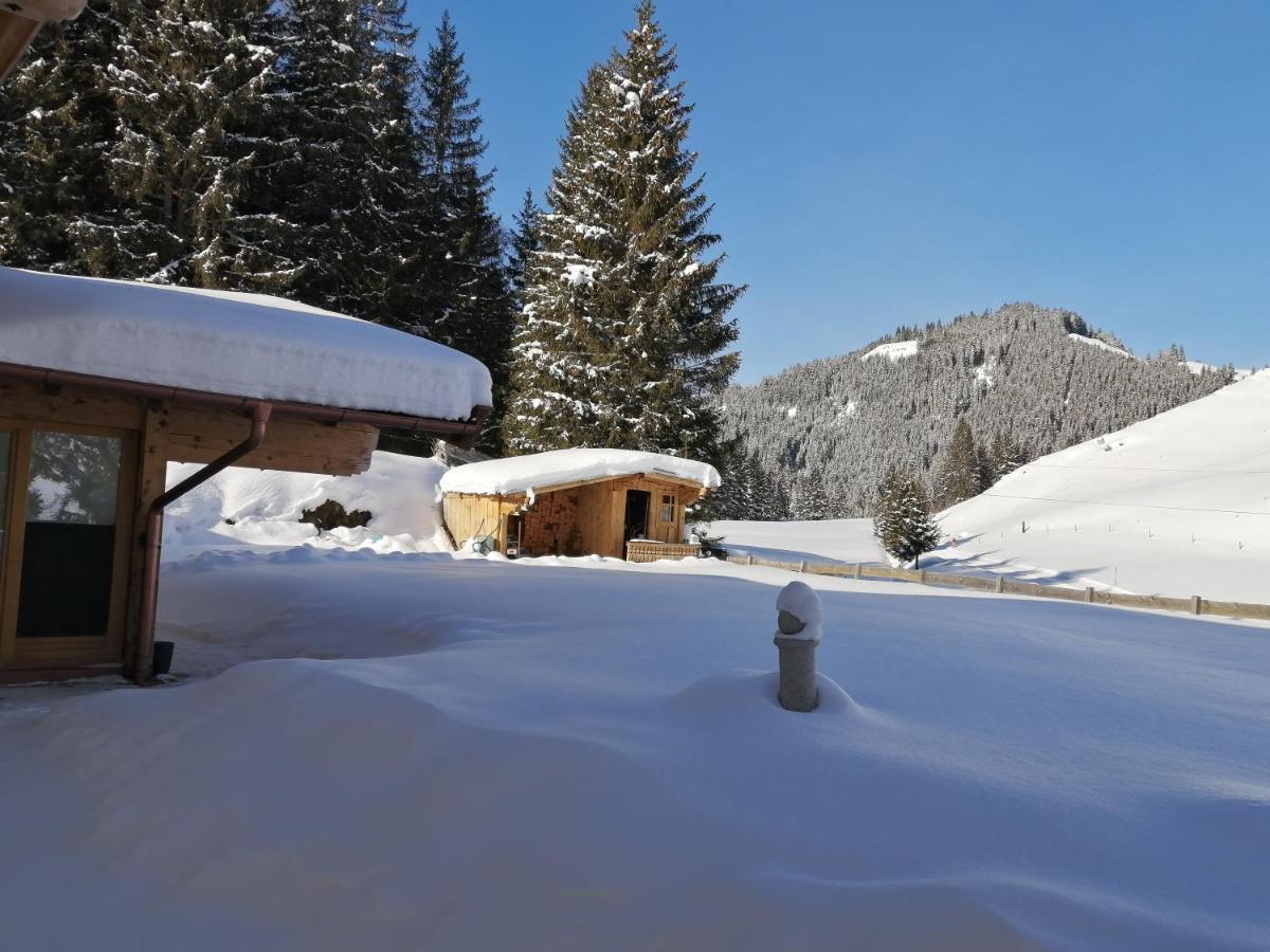 Haus Jessica Incl National Park Sommercard Mittersill Dış mekan fotoğraf