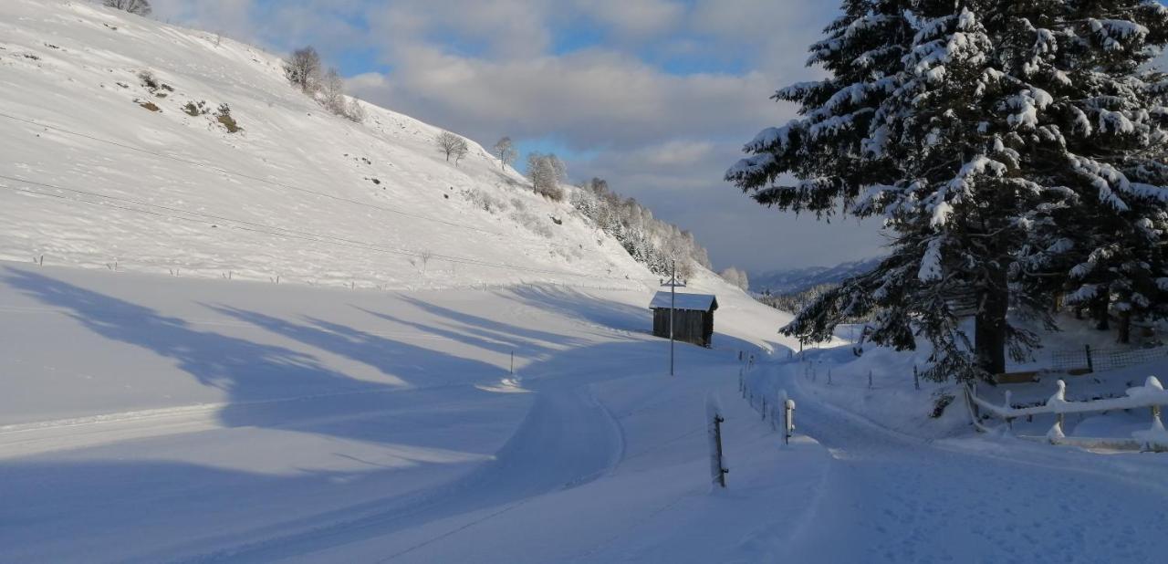 Haus Jessica Incl National Park Sommercard Mittersill Dış mekan fotoğraf