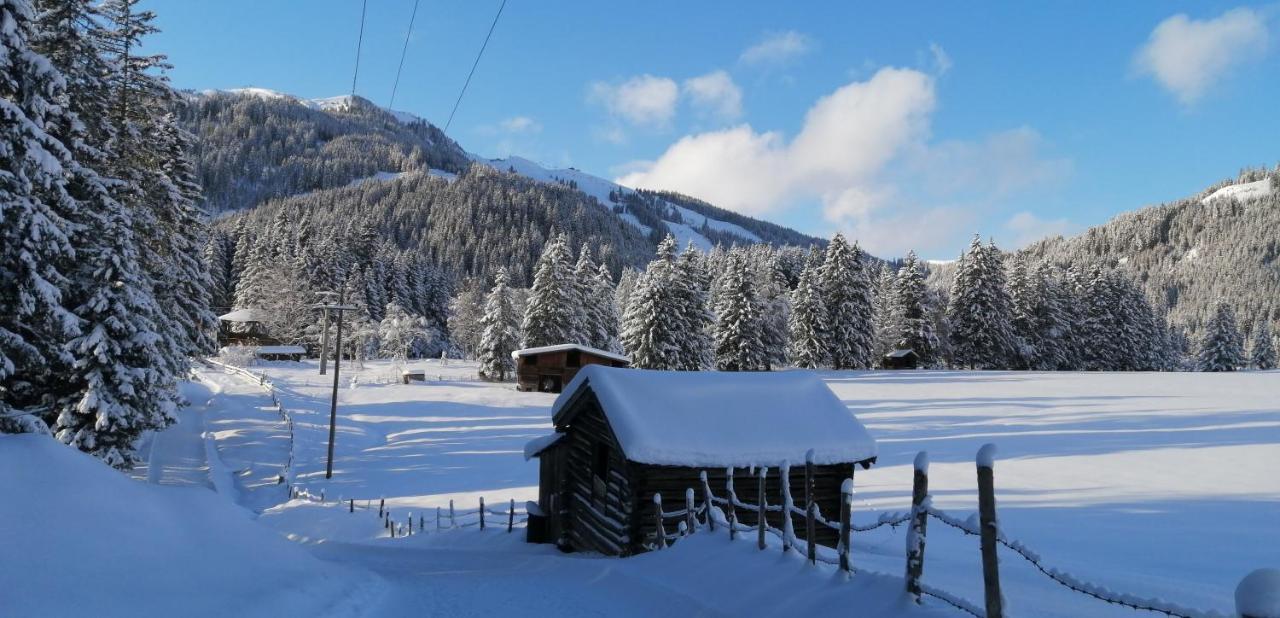 Haus Jessica Incl National Park Sommercard Mittersill Dış mekan fotoğraf
