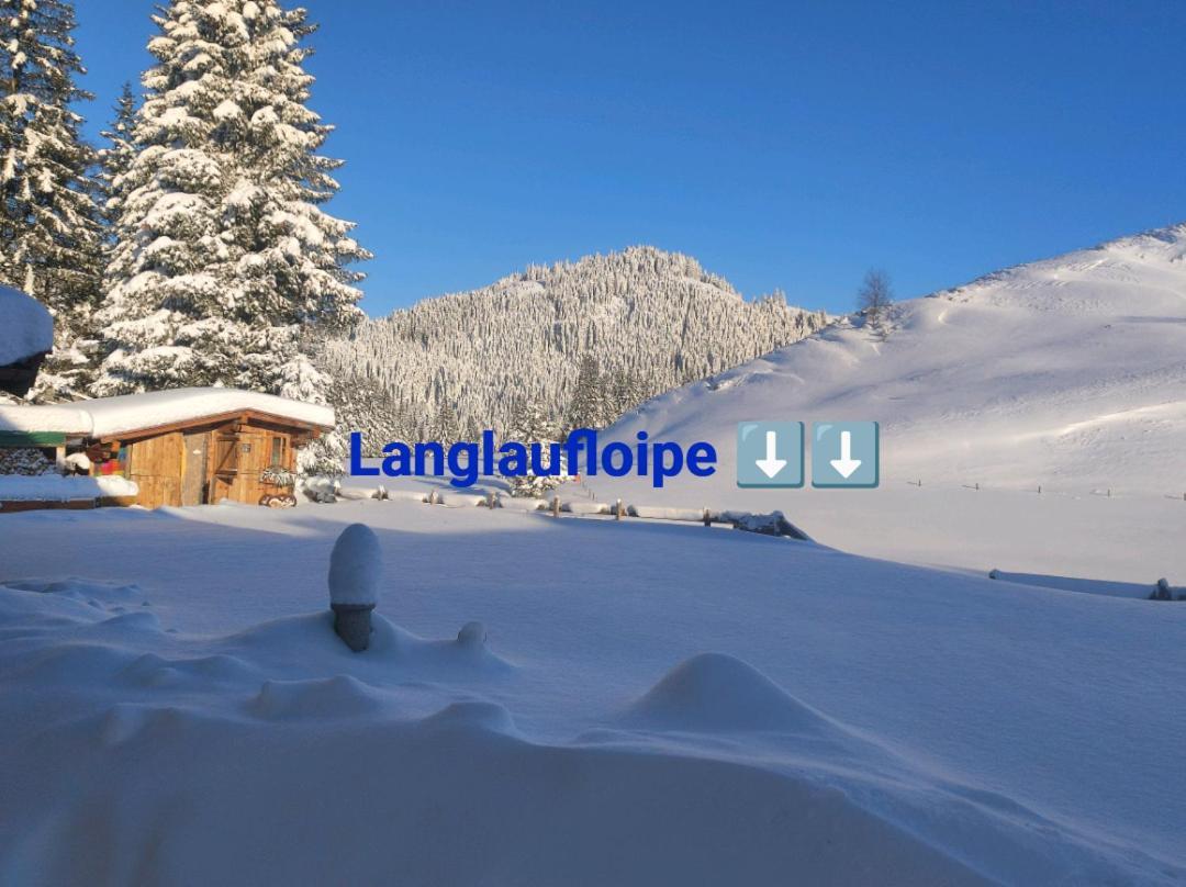 Haus Jessica Incl National Park Sommercard Mittersill Dış mekan fotoğraf